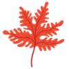 🍂