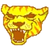 🐯
