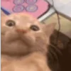 😱