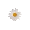 🌼
