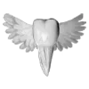 🕊