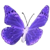 🦋