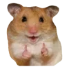 👍