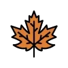 🍁