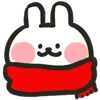 🐰