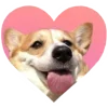 💖