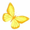🦋