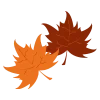 🍂