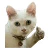 👍