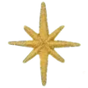🌟