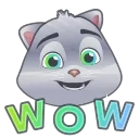 🙀