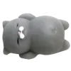 🐈