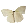 🦋