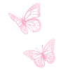 🦋