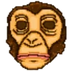 🐵