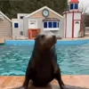 🥳