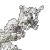 ⭐️