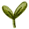 🌱