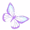 🦋