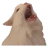 😵
