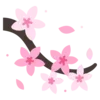 🌸