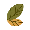 🍃
