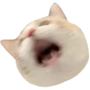 🫨