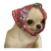 👵