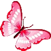 🦋