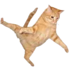 👐