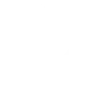 7️⃣
