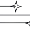 🌟