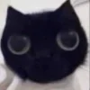 🥺