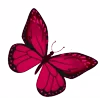 🦋