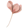 🌸