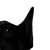 🐕