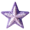 ⭐️