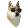 😎