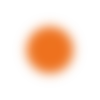 🟠