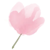 🌷