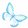 🦋