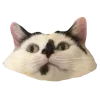 🙂
