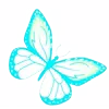 🦋