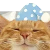 ⭐️