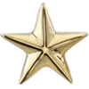 🌟