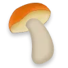 🍄