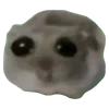 🥺