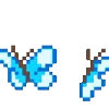 🦋