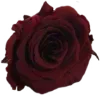 🥀