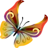 🦋